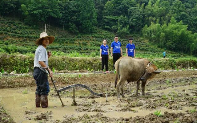 蓝田稻香队访谈.jpg
